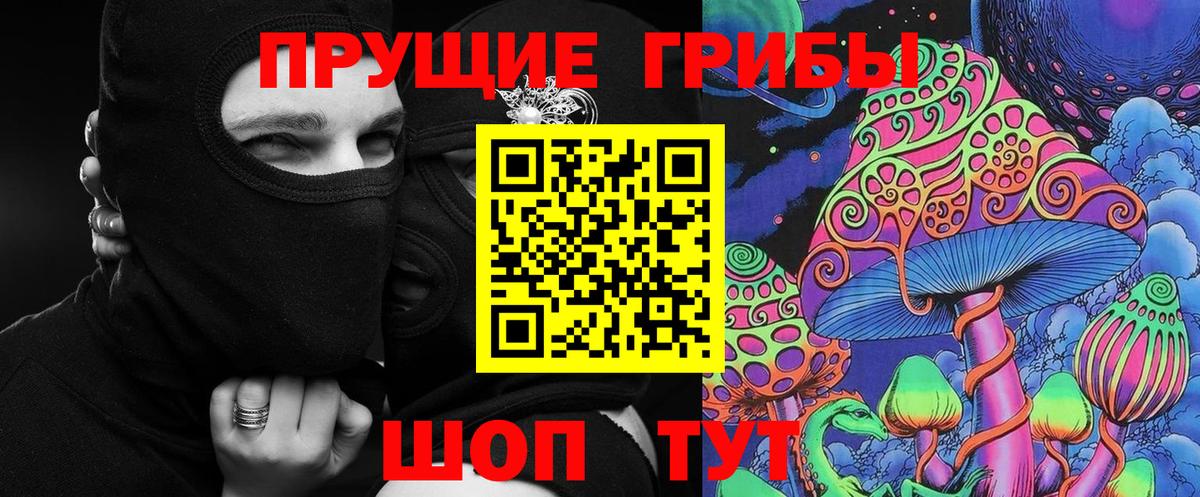 Псилоцибиновые грибы Psilocybe Воскресенск